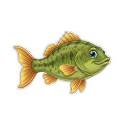 Bass